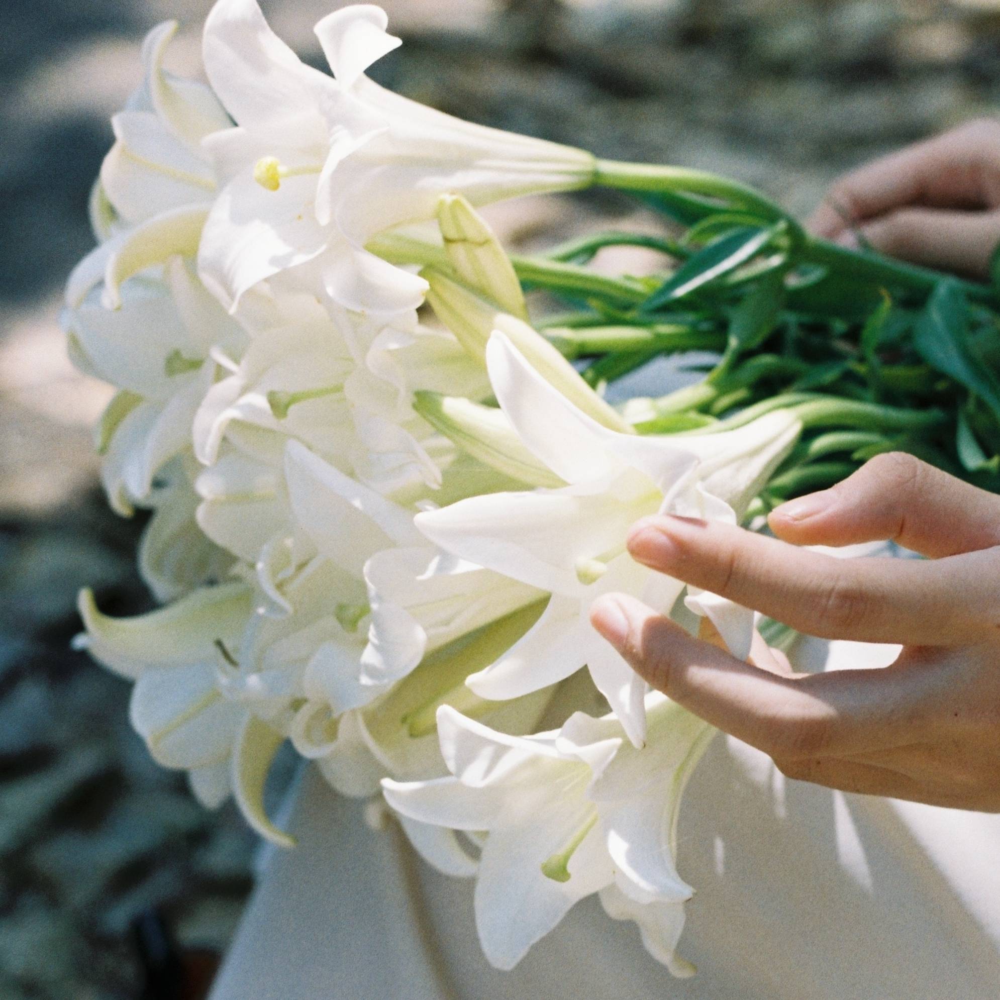 A bouquet of white flowers.